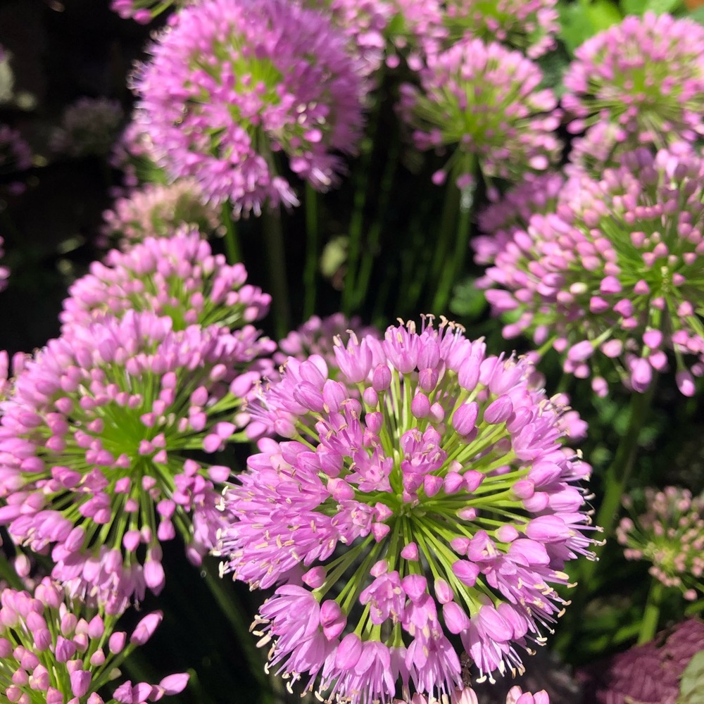 Meet your Posher, Kaitlyn